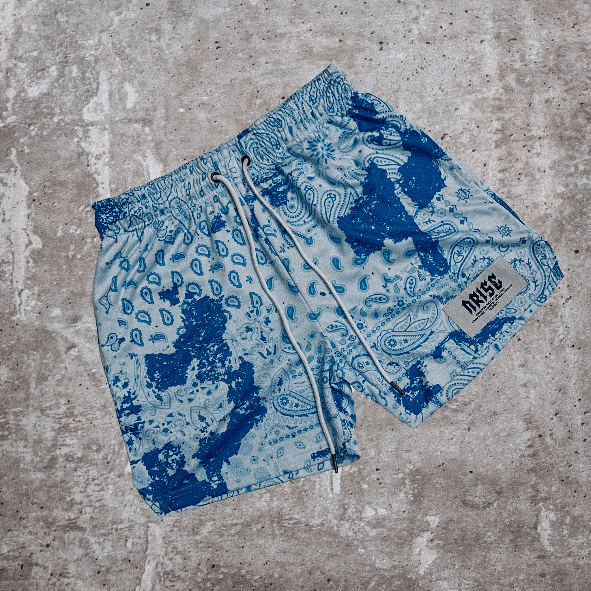 UNC Paisley Shorts